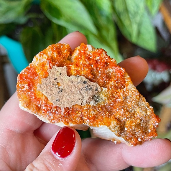 🧡Vanadinite on Barite Crystal Specimen Mibladen Morocco🧡 - Picture 4 of 7